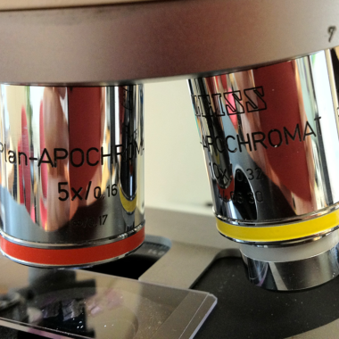 For pathologists