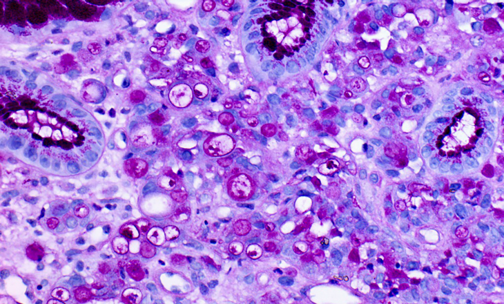 Data expertise in healthcare